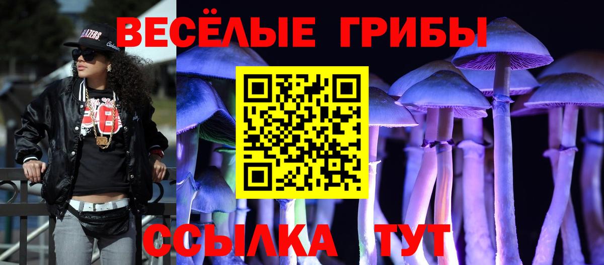 Старая Русса  Псилоцибиновые грибы Cubensis  Вход с VPN 